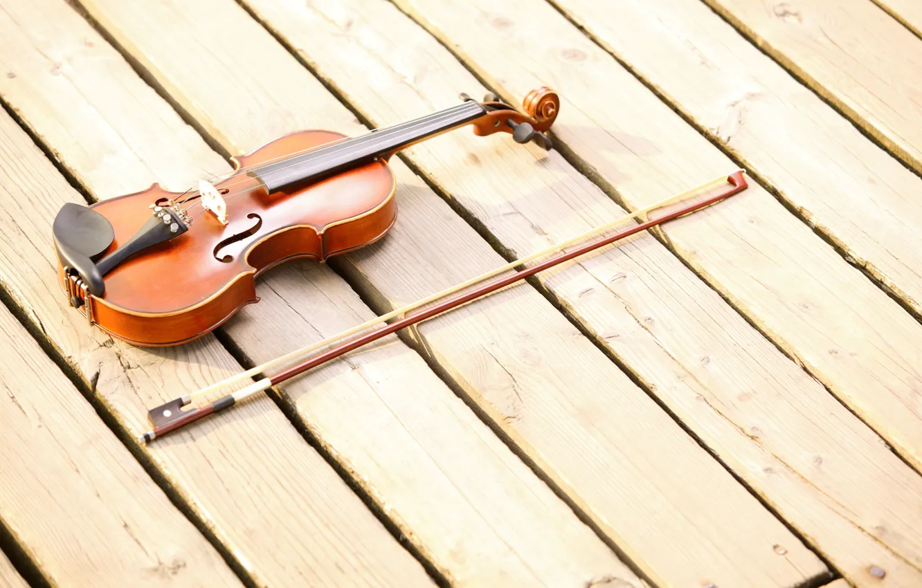 Photo wallpaper music, background, tree, widescreen, Wallpaper, violin, Board, string