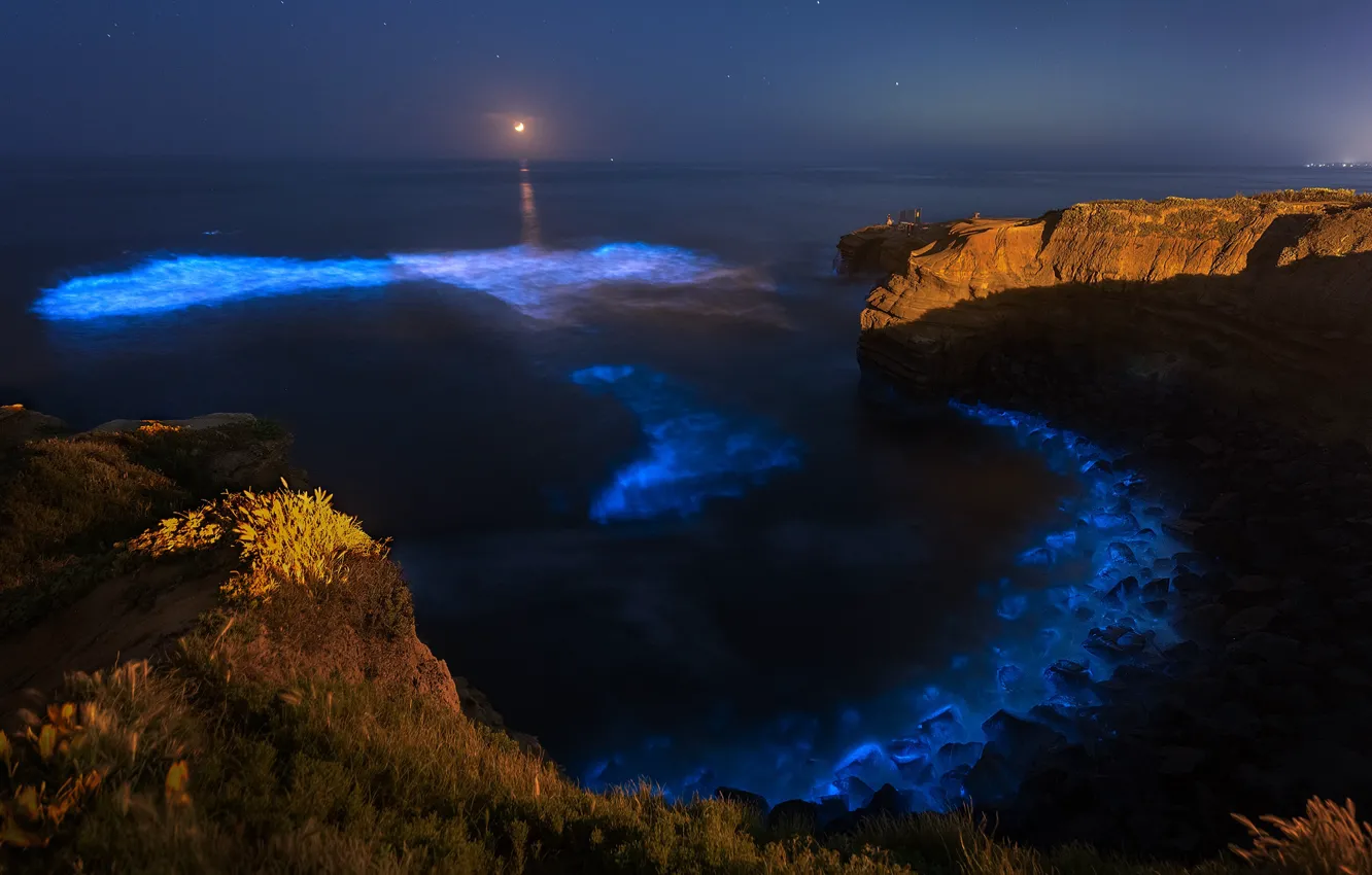 Photo wallpaper sea, night, rocks, coast