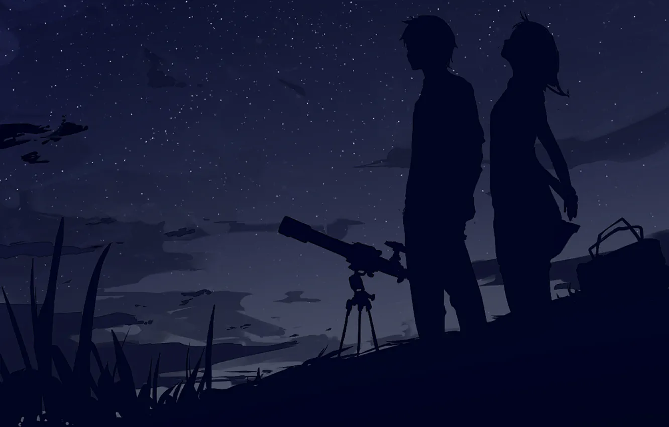 Photo wallpaper the sky, stars, clouds, the wind, Night, bag, two, silhouettes