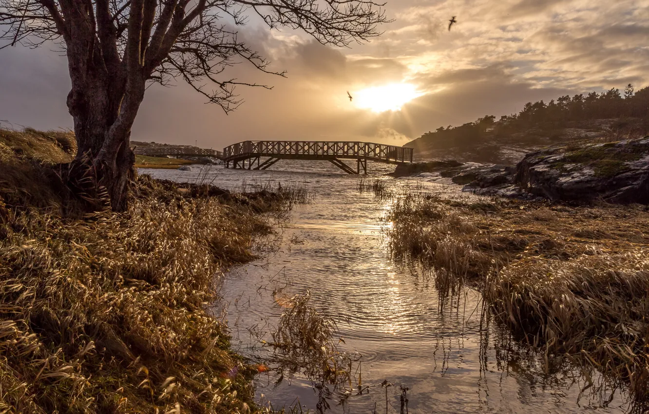Photo wallpaper landscape, bridge, river, morning