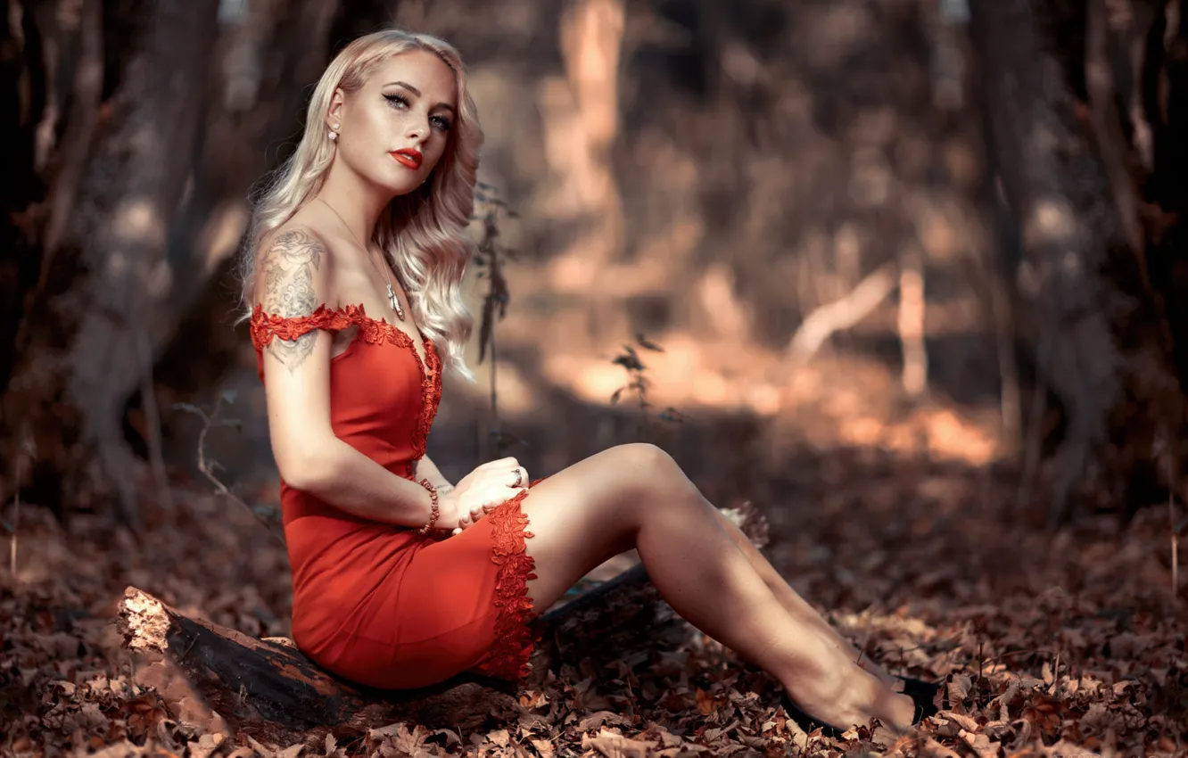 Photo wallpaper girl, forest, long hair, dress, legs, photo, photographer, blue eyes