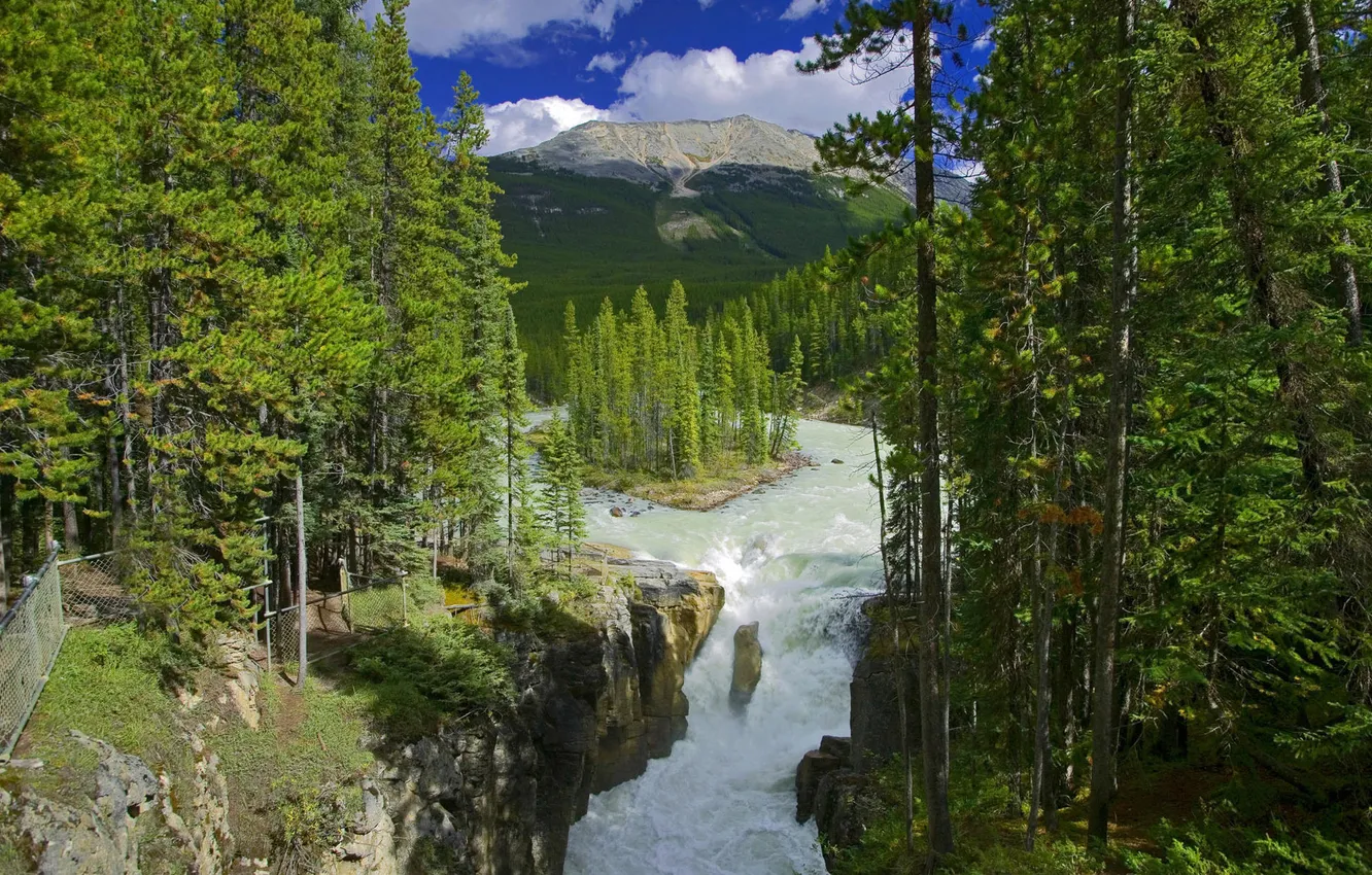 Photo wallpaper forest, the sky, clouds, trees, mountains, waterfall