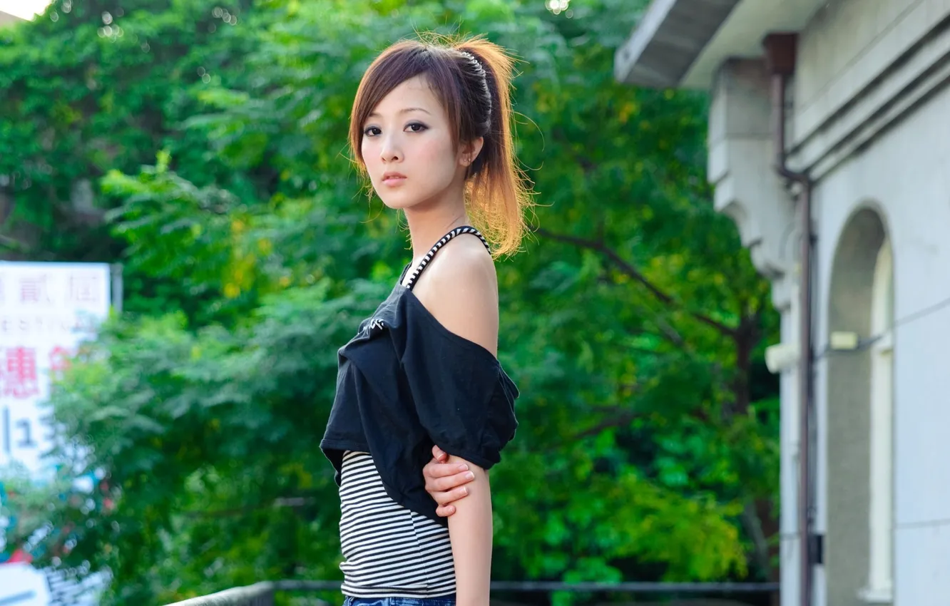 Photo wallpaper look, trees, Japanese, building, Asian