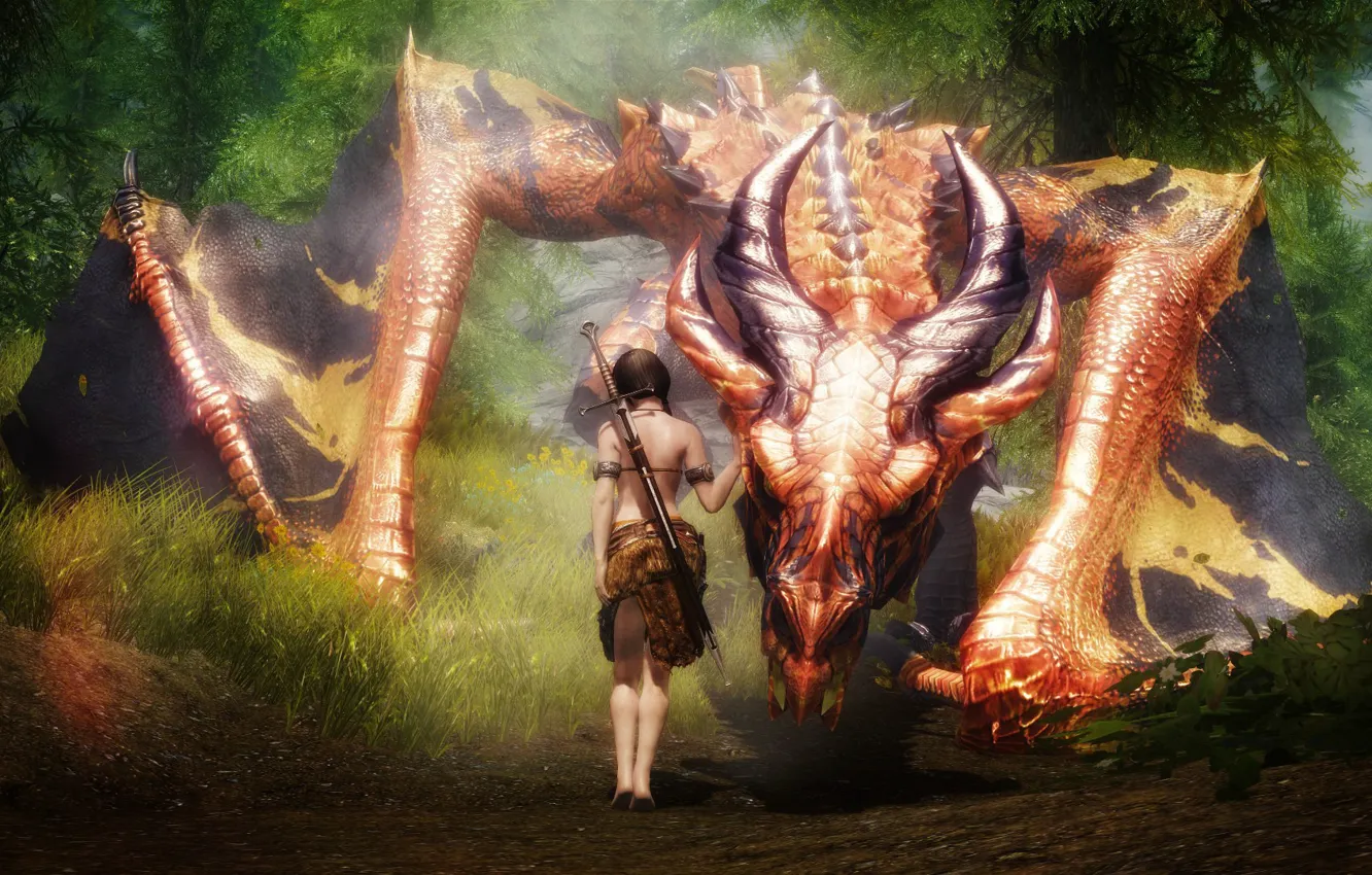 Photo wallpaper girl, dragon, sword, fantasy