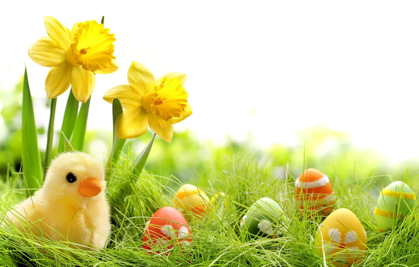 Photo wallpaper grass, flowers, eggs, spring, colorful, Easter, grass, flowers