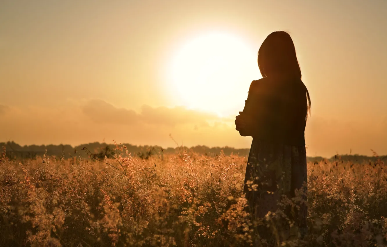 Photo wallpaper field, flower, girl, the sun, sunset, flowers, loneliness, background