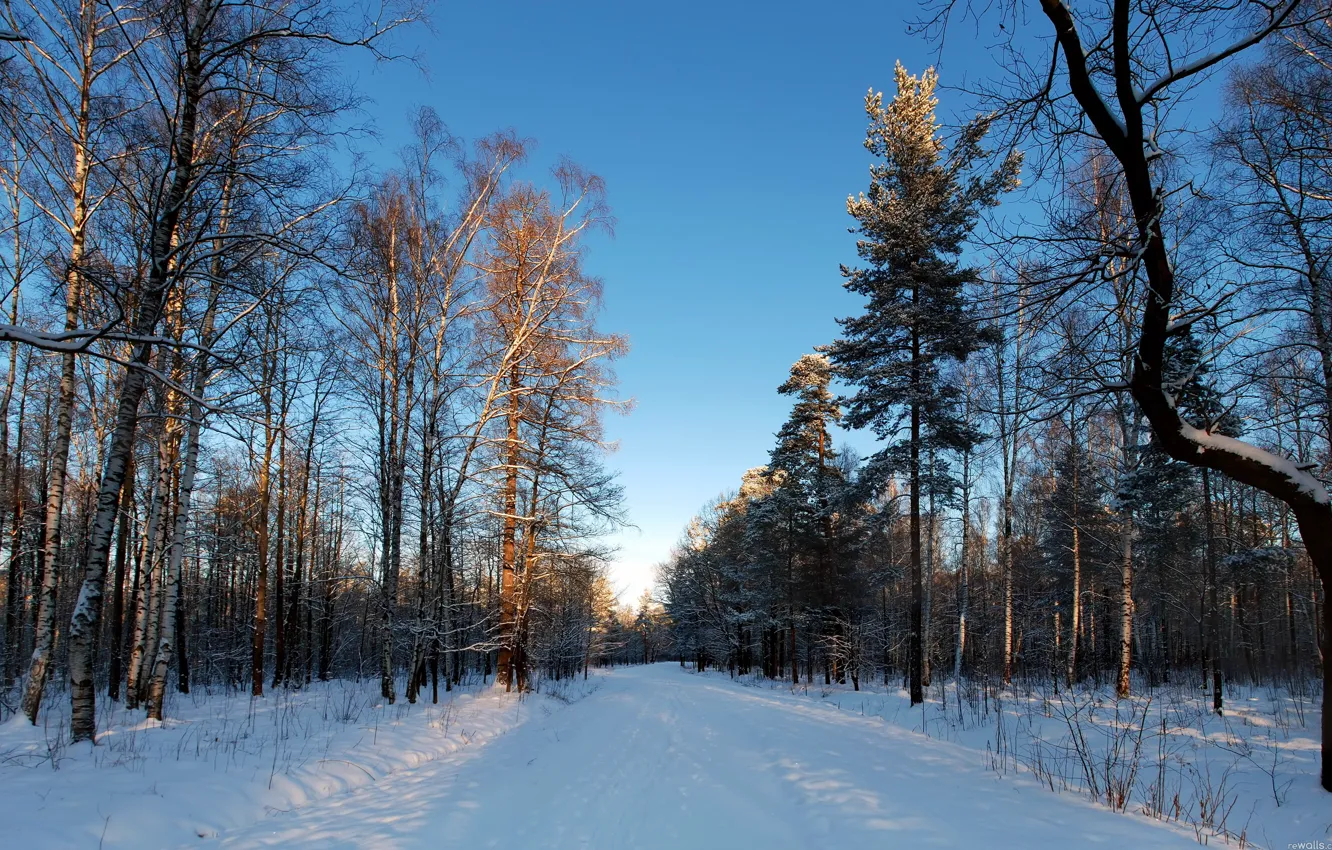 Photo wallpaper winter, road, the sky, snow, trees