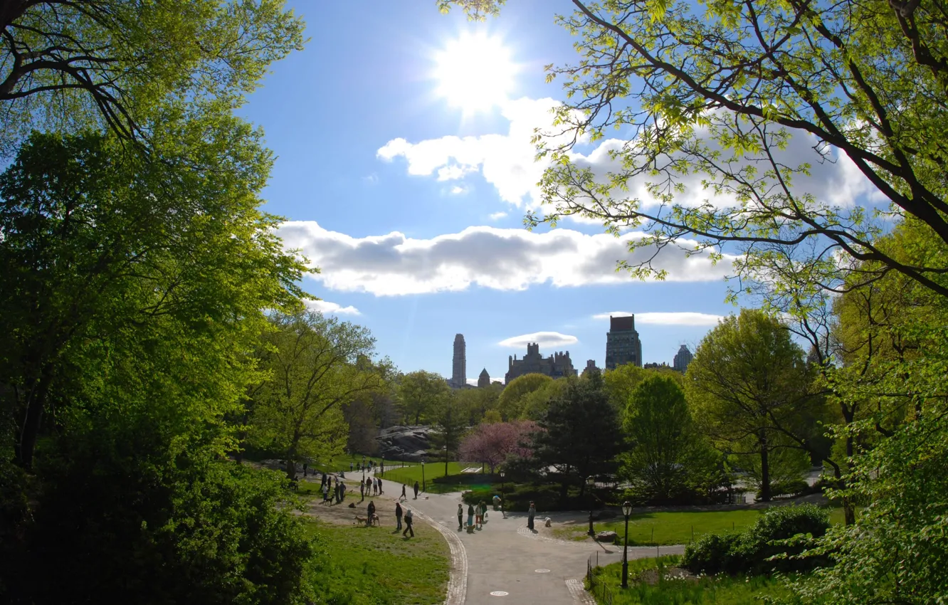Photo wallpaper trees, city, the city, Park, USA, New York, path, New York