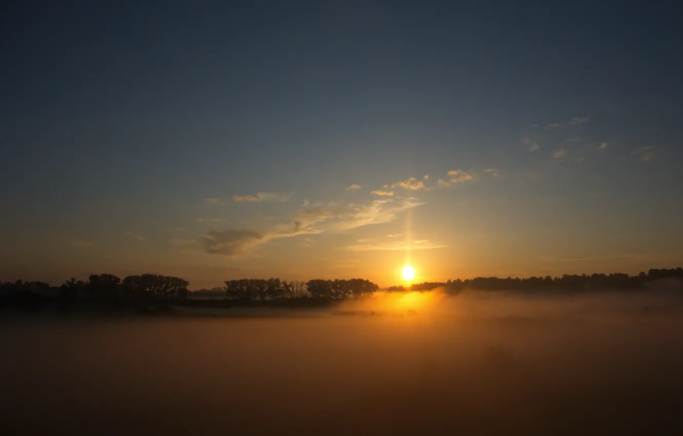 Photo wallpaper the sun, fog, dawn, journey