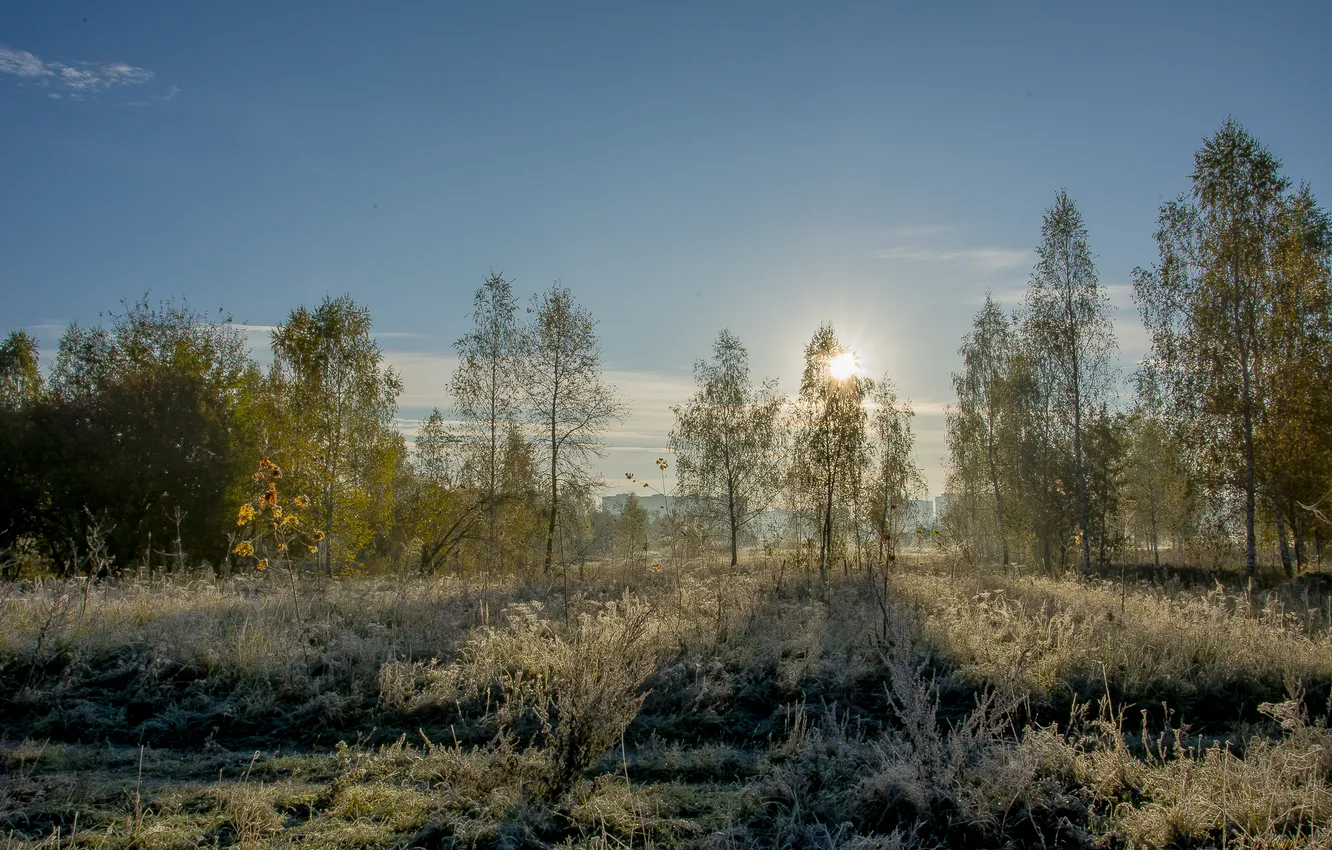 Photo wallpaper autumn, landscape nature, the dawn the sun, the morning rays of the sun