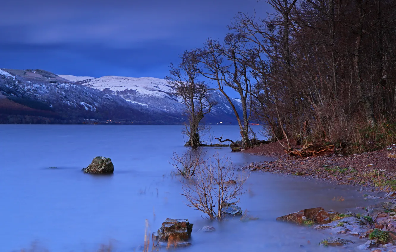 Photo wallpaper trees, landscape, night, lake