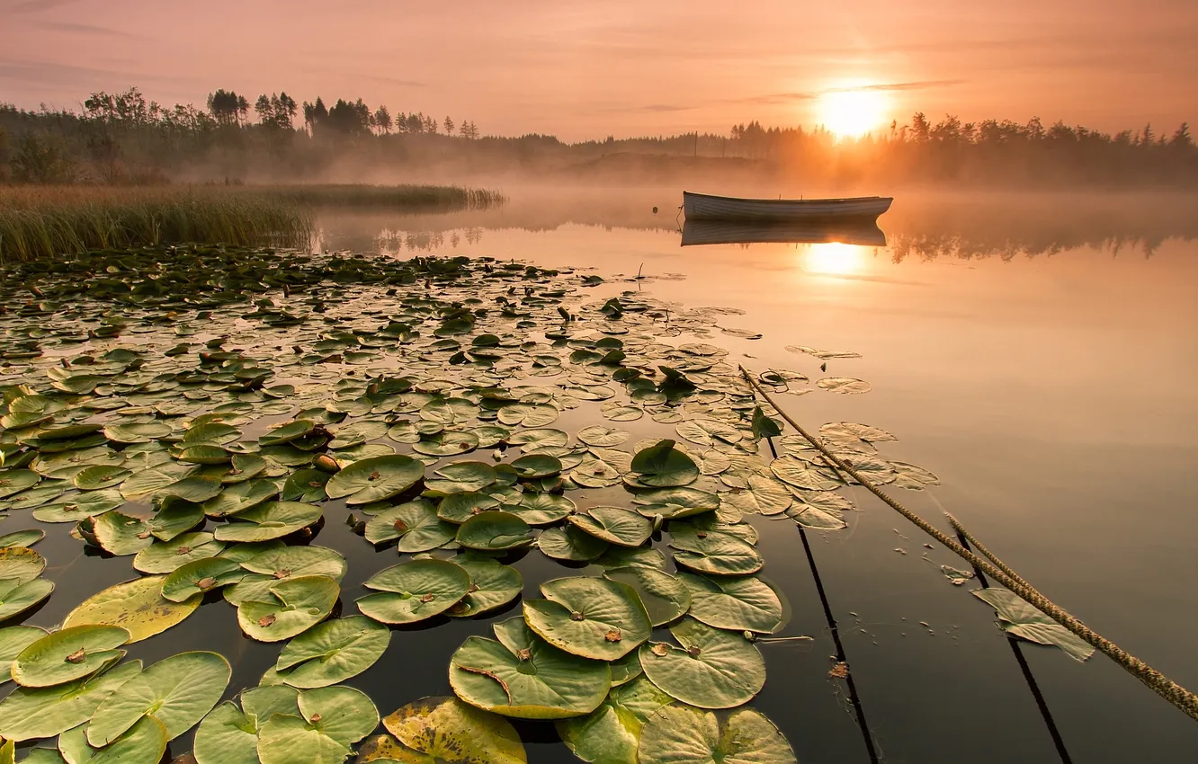Photo wallpaper fog, lake, boat, morning