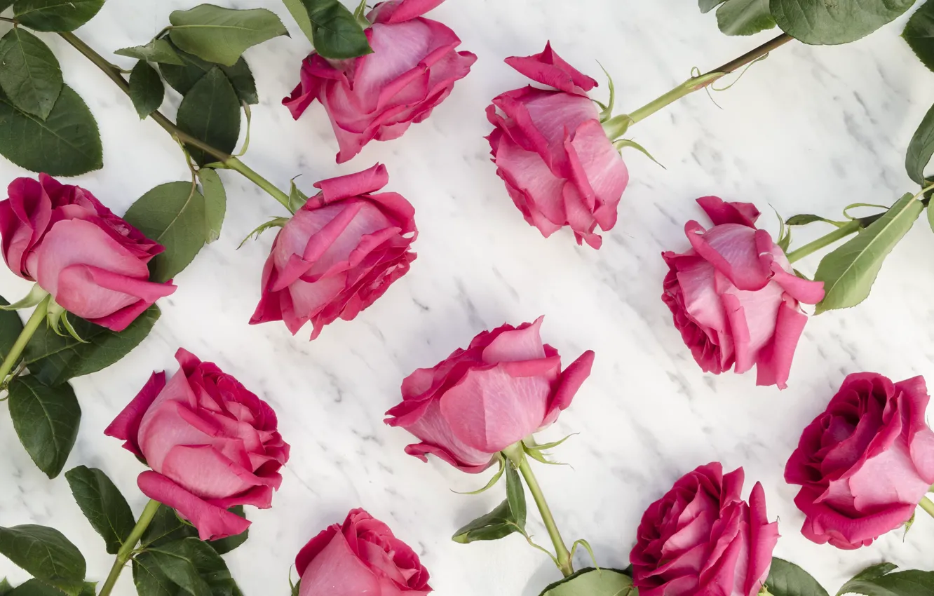 Photo wallpaper roses, beautiful, buds, composition, beautiful