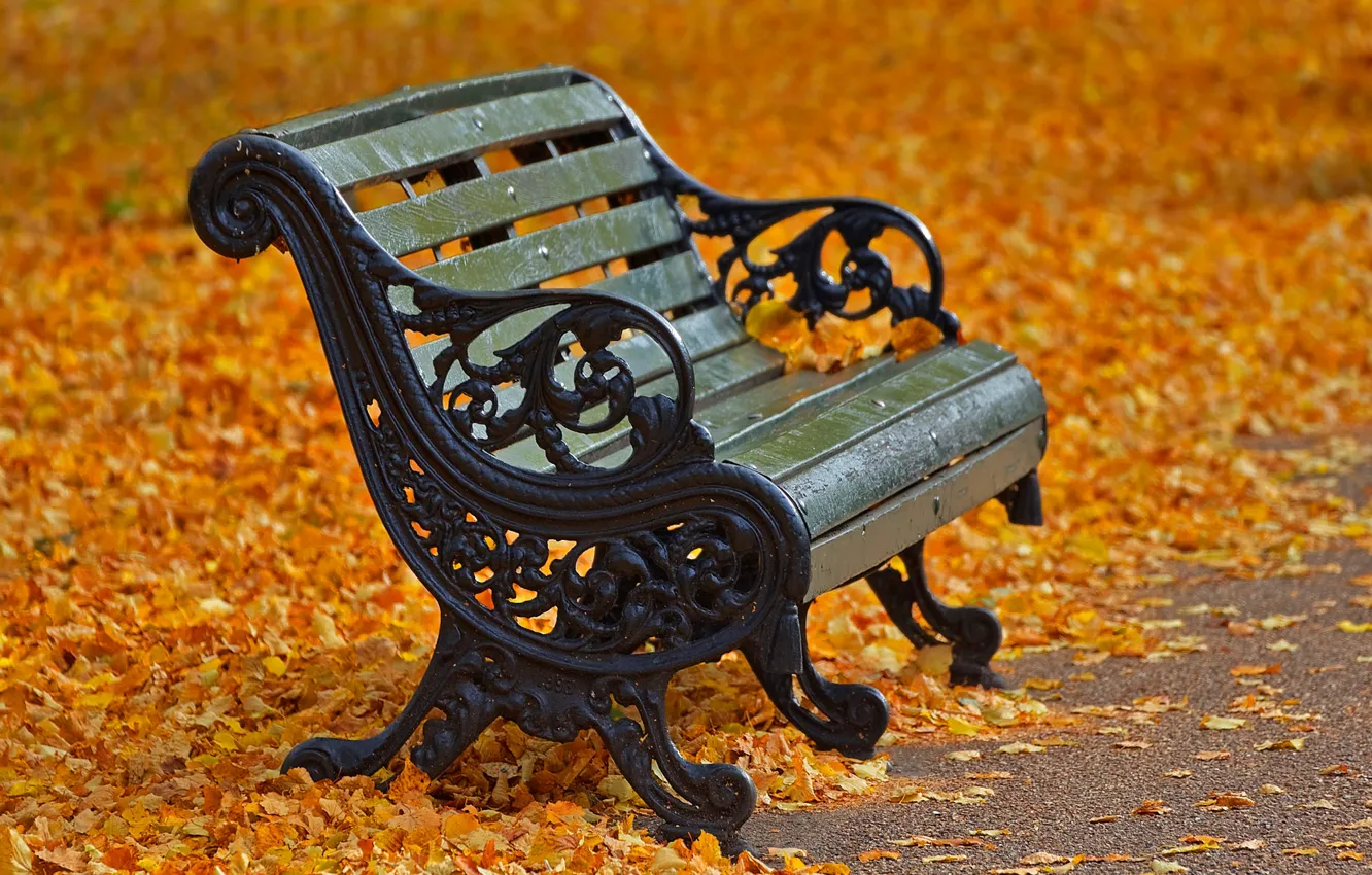 Photo wallpaper autumn, leaves, London, bench, Regents Park