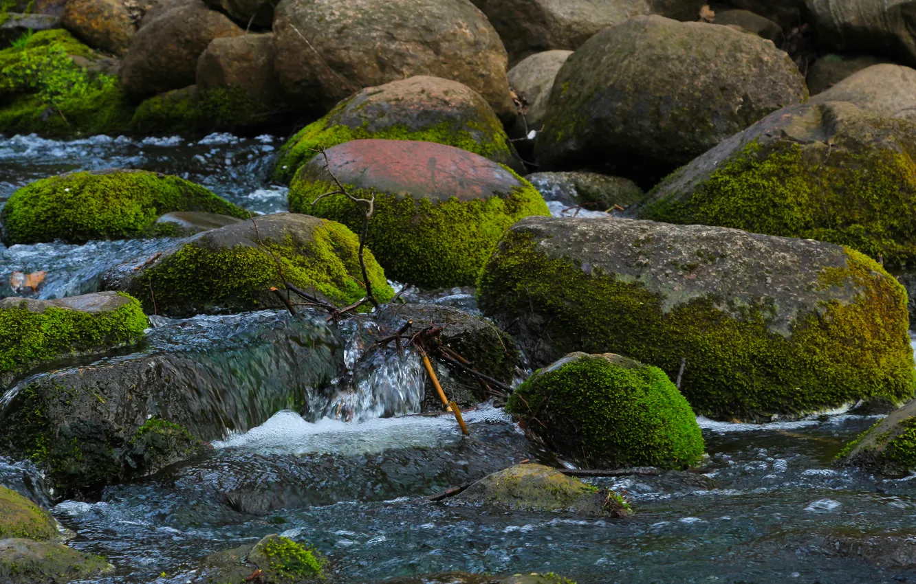Photo wallpaper river, water, stones, moss