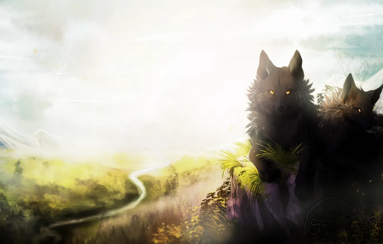 Photo wallpaper animal, black, wolf, art, wolf, snow body