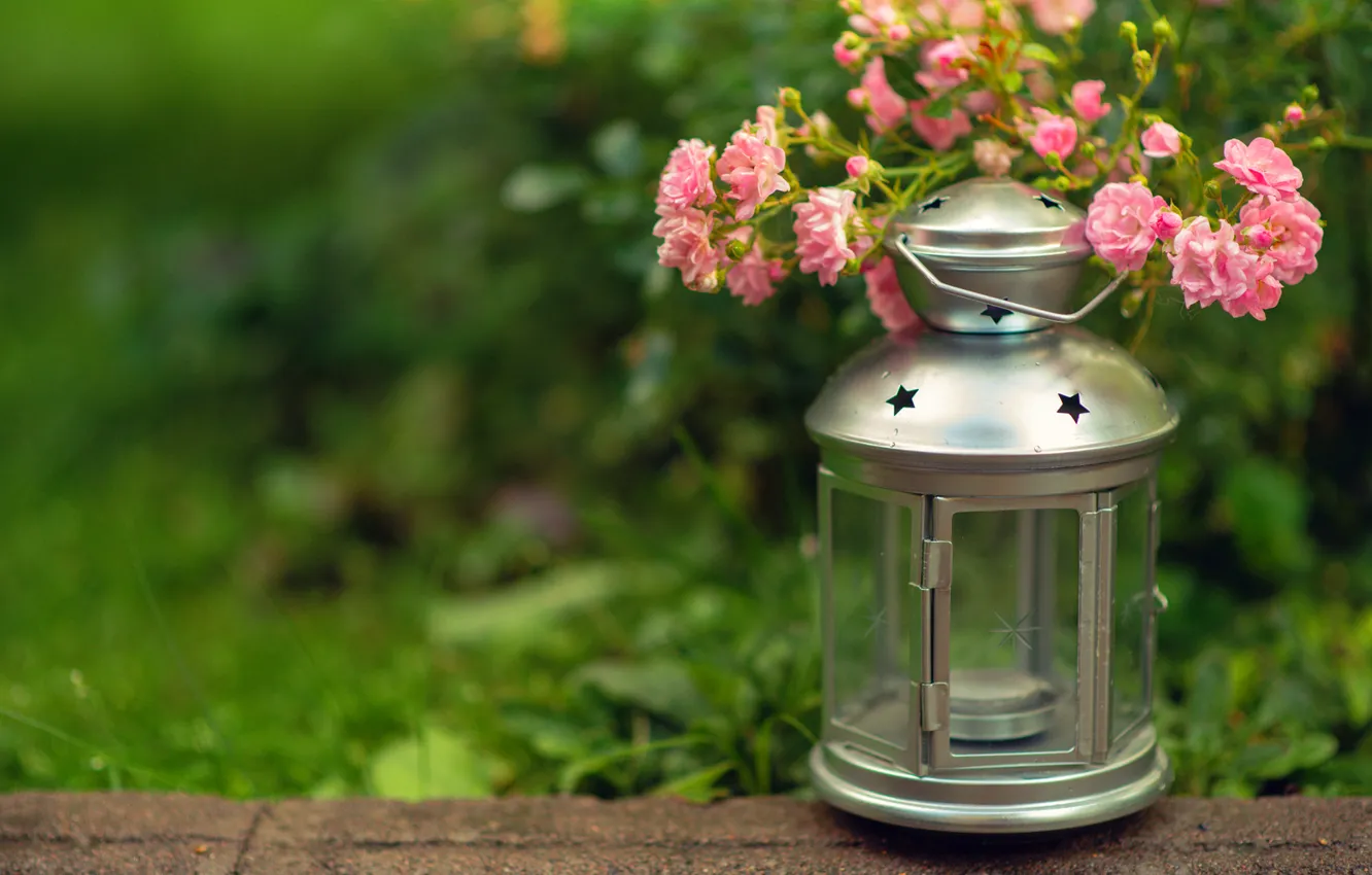 Photo wallpaper greens, grass, flowers, candle, blur, flashlight, lantern, pink