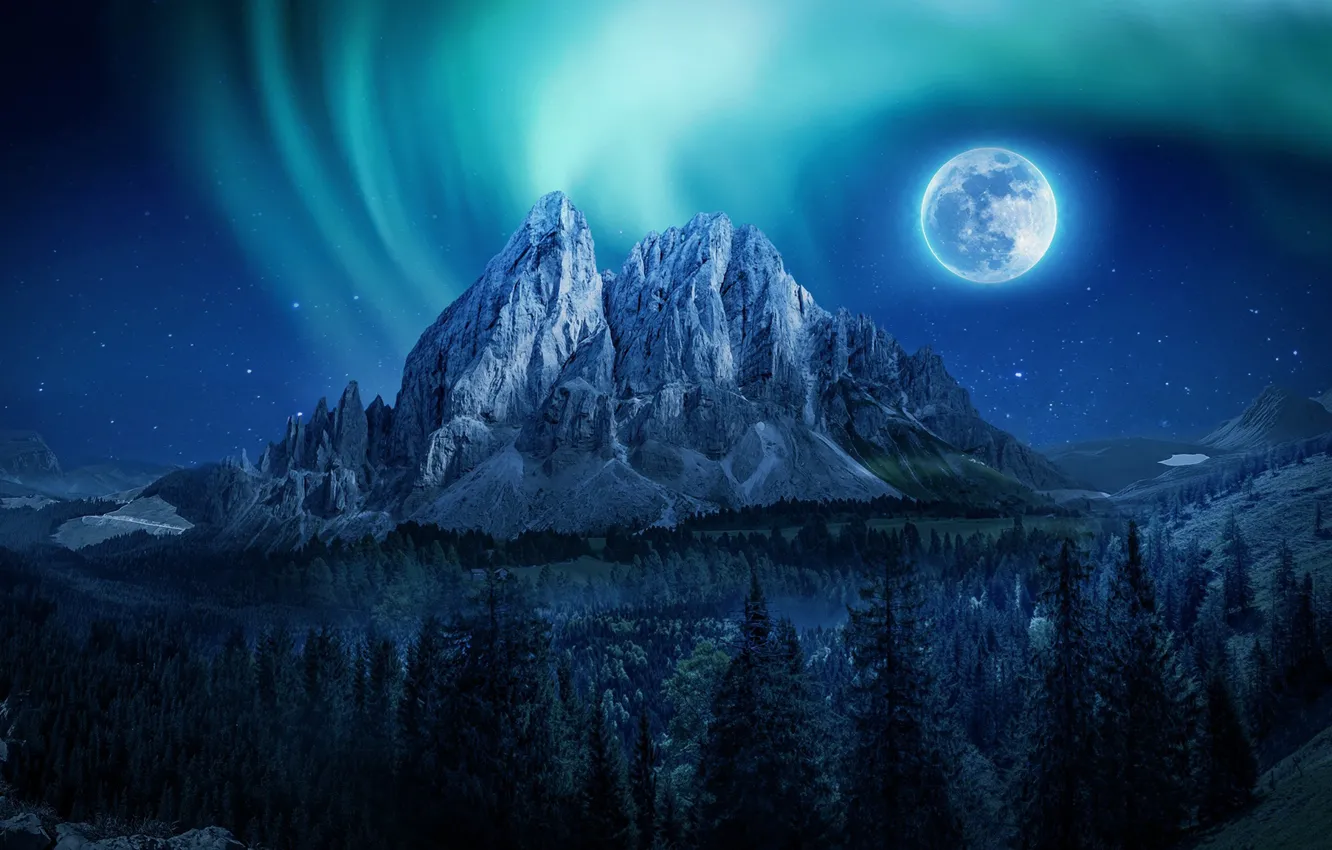 Photo wallpaper forest, the sky, stars, mountains, night, the moon