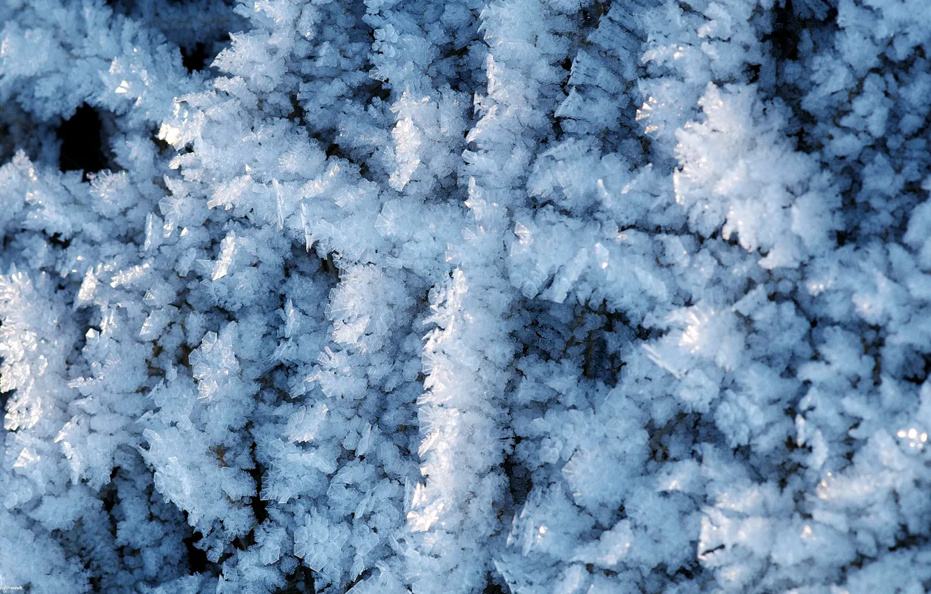 Photo wallpaper ice, winter, crystals