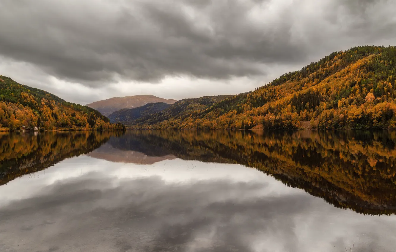 Photo wallpaper autumn, forest, clouds, lake, reflection