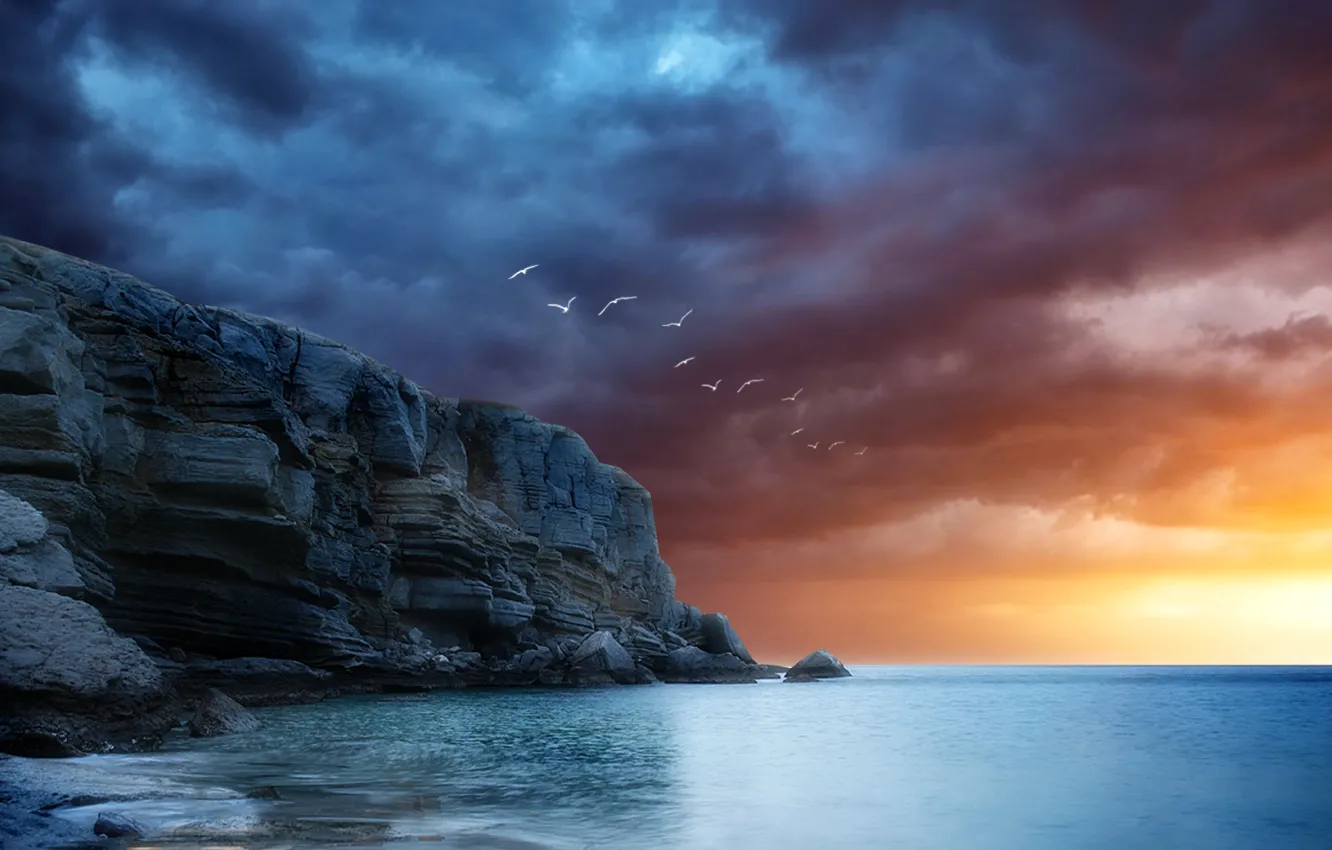 Photo wallpaper sea, the sky, clouds, sunset, rocks, bird