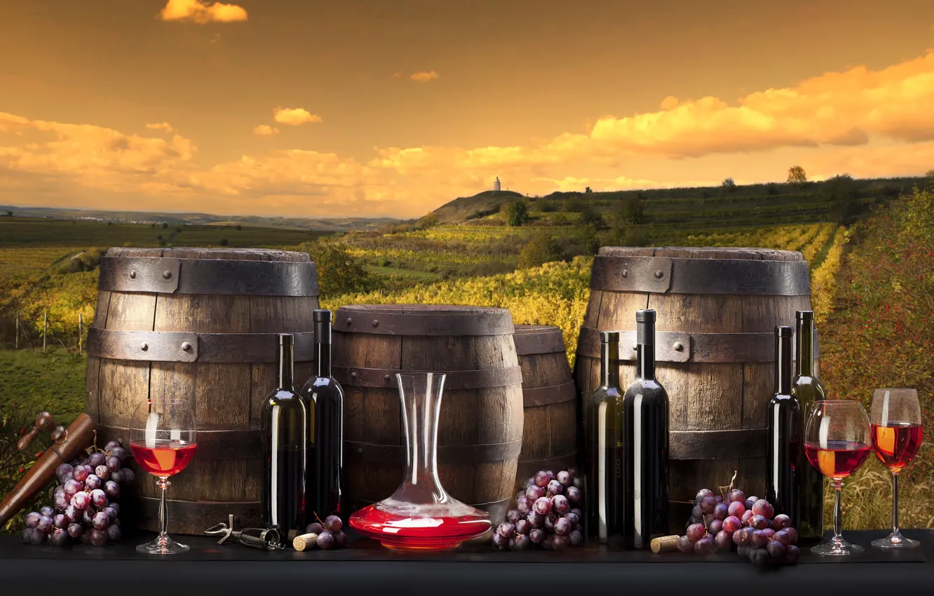 Photo wallpaper wine, grapes, bottle, barrels, the vineyards
