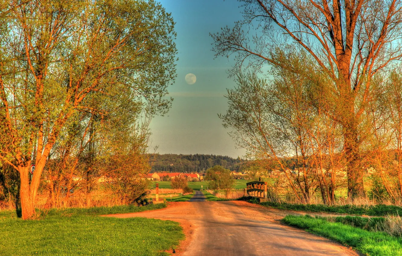 Photo wallpaper trees, the city, road, HDR, Germany, Hungen