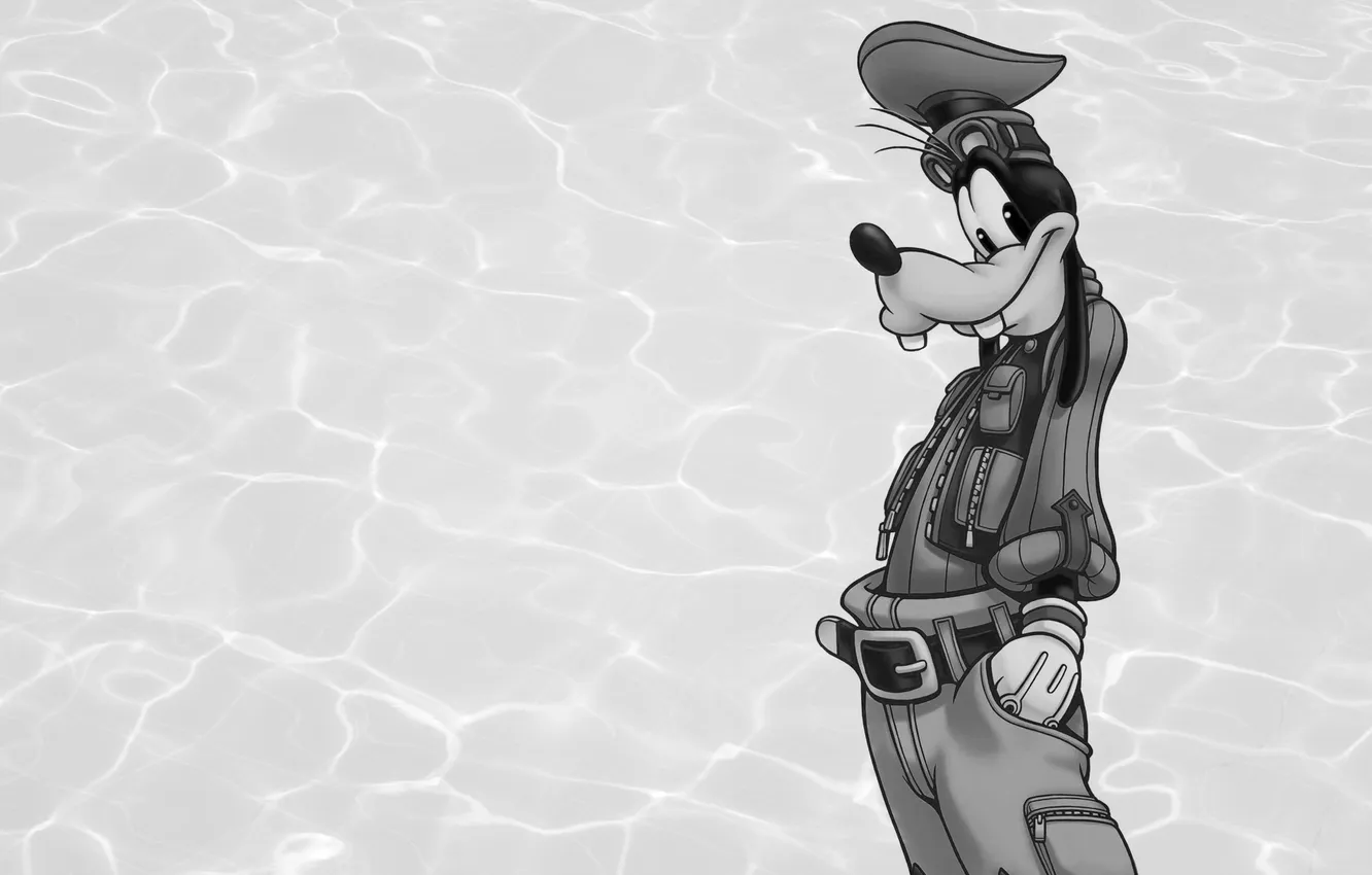 Photo wallpaper Walt Disney, Disney, Goof, Goofy