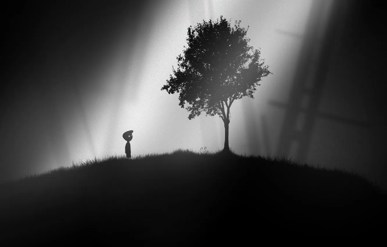 Photo wallpaper game, game, tree, limbo, wood, lonely, lonely, limbo