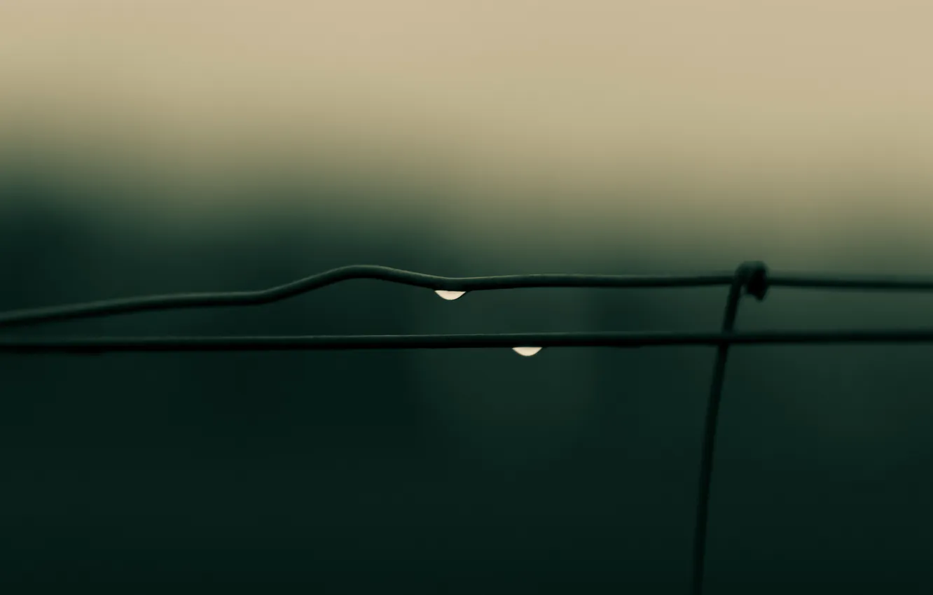 Photo wallpaper drops, wire, The fence, after the rain