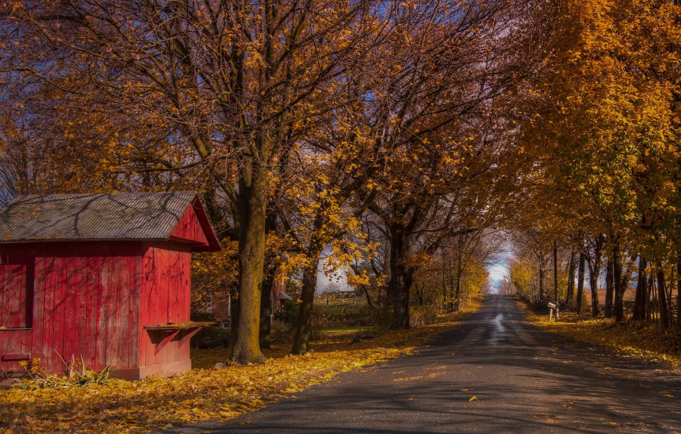 Photo wallpaper road, autumn, house