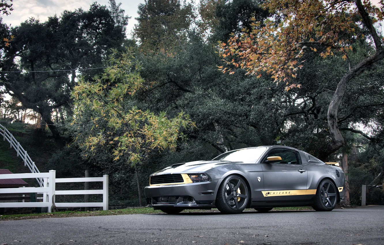 Photo wallpaper road, forest, trees, the fence, Mustang, Ford, Mustang, silver
