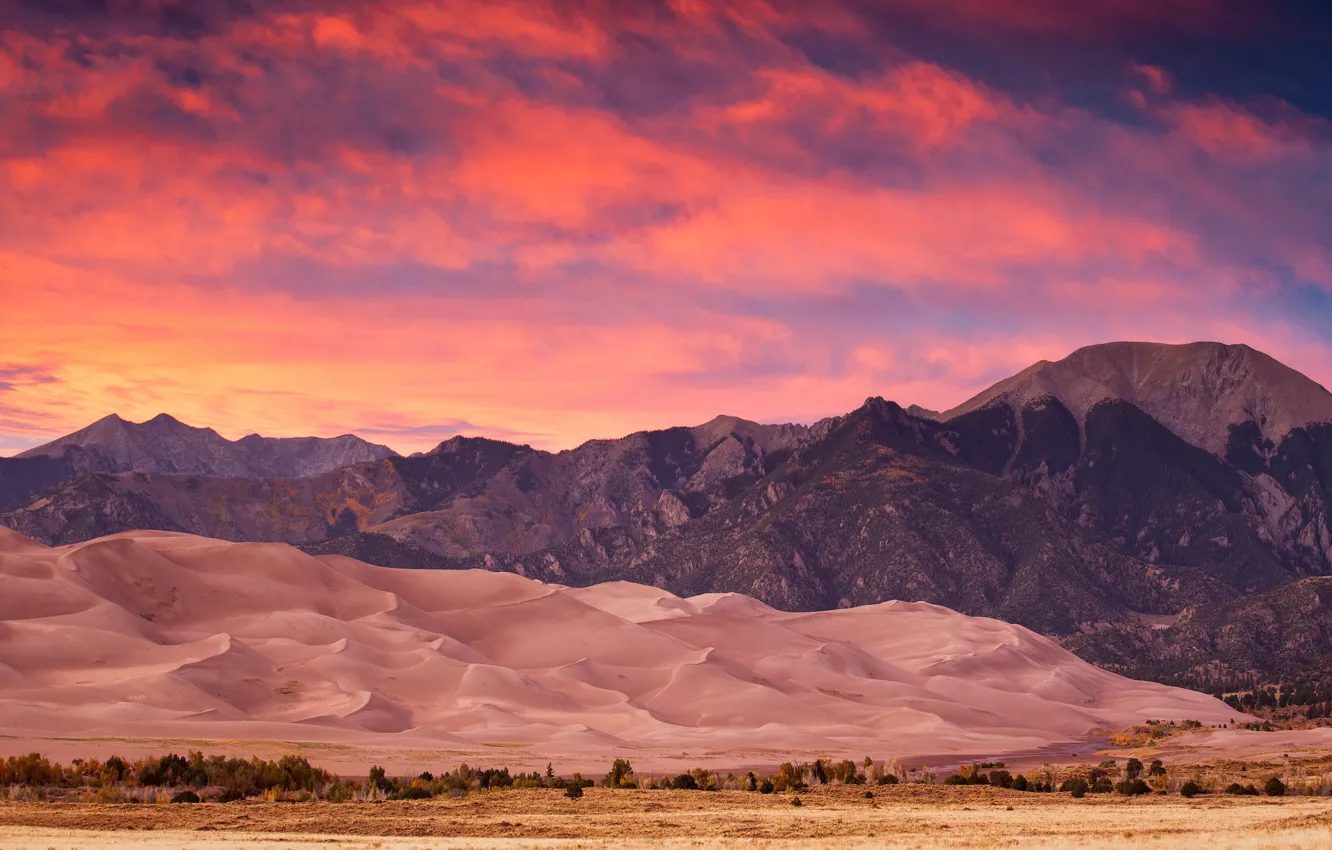 Photo wallpaper forest, sunset, mountains