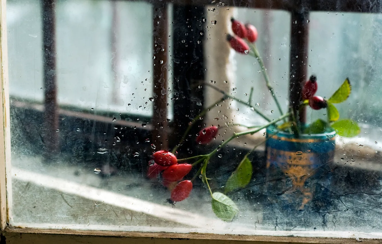 Photo wallpaper glass, flowers, background, window