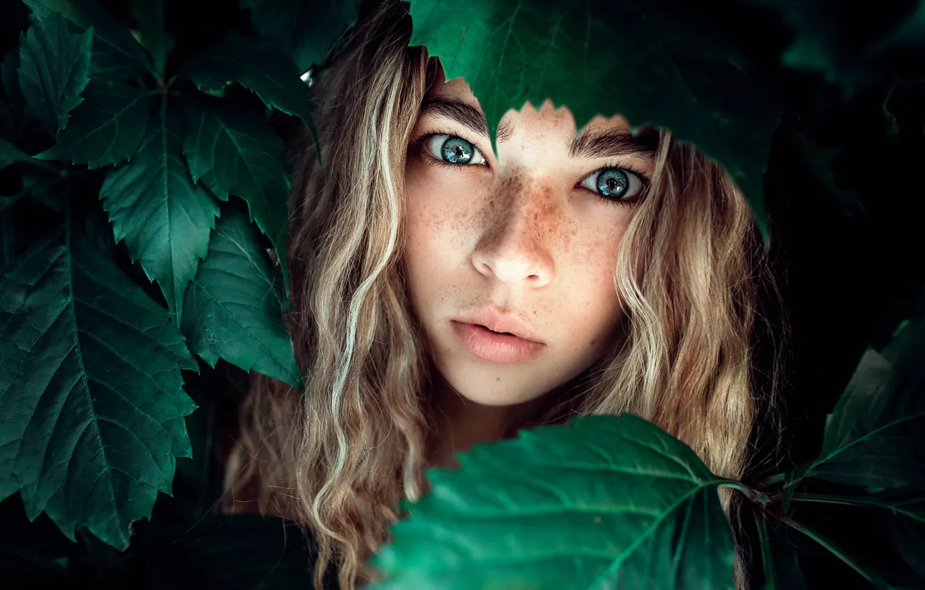 Photo wallpaper leaves, girl, freckles, Sofia, Nastya Mel