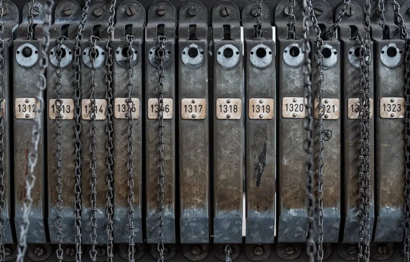 Photo wallpaper macro, background, chain