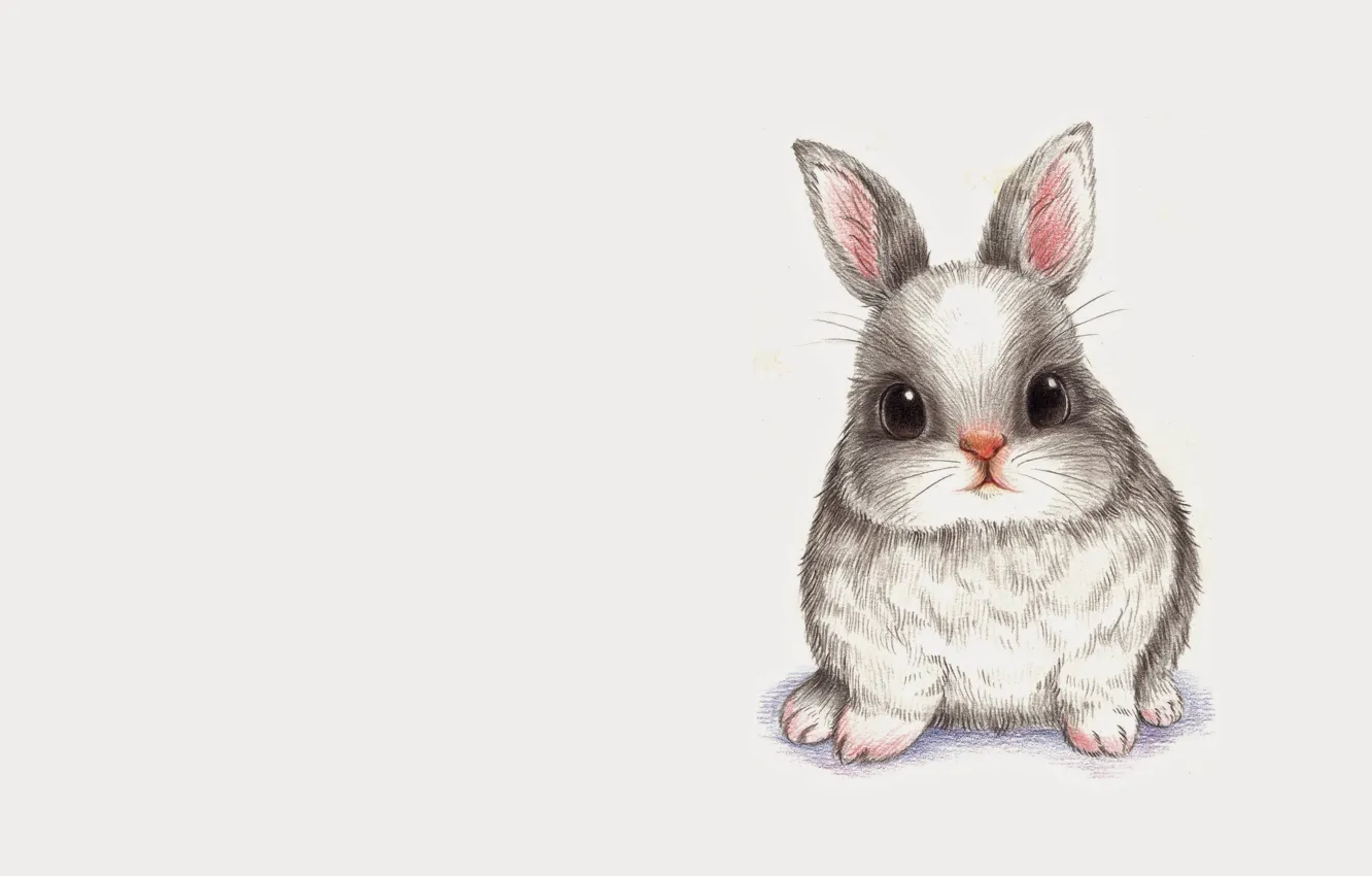 Photo wallpaper animals, figure, rabbit, baby, art, pencil, Bunny, children's