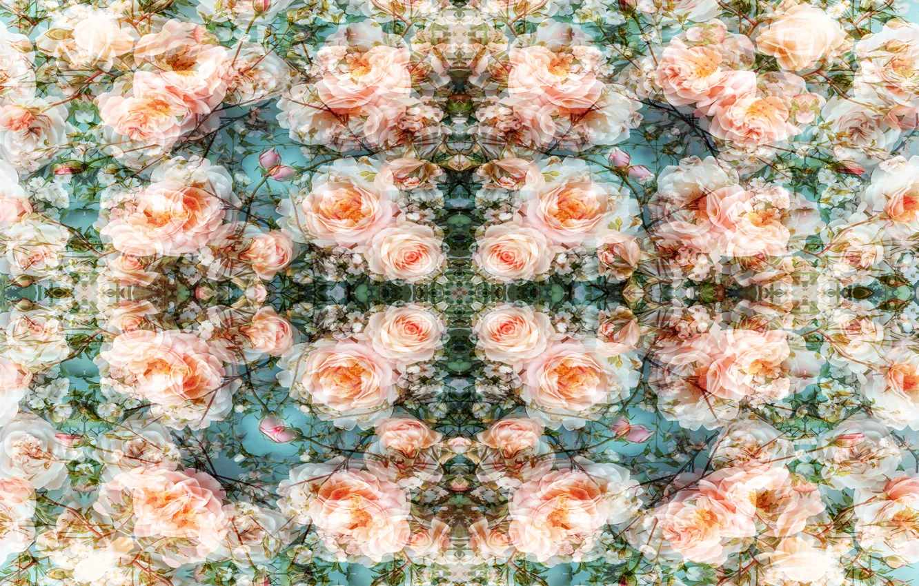 Photo wallpaper design, art, pattern, fractal