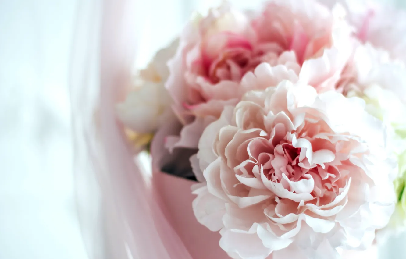 Photo wallpaper flowers, holiday, box, gift, tenderness, interior, bouquet, pink