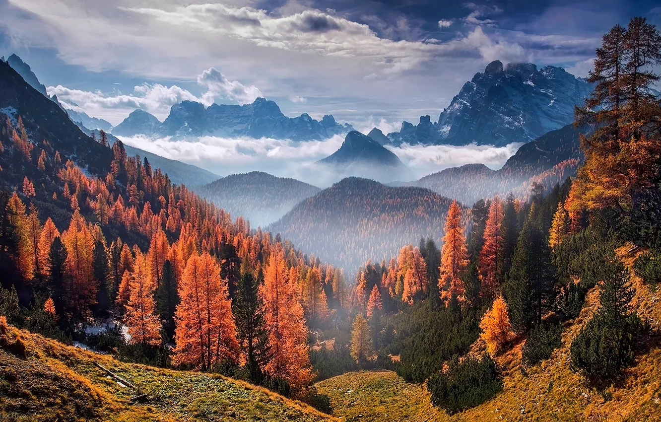 Photo wallpaper autumn, forest, the sky, clouds, trees, mountains, nature, rocks
