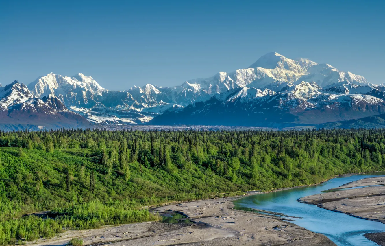 Photo wallpaper forest, mountains, river, Alaska, Alaska, Denali National Park, Alaska range, Denali national Park
