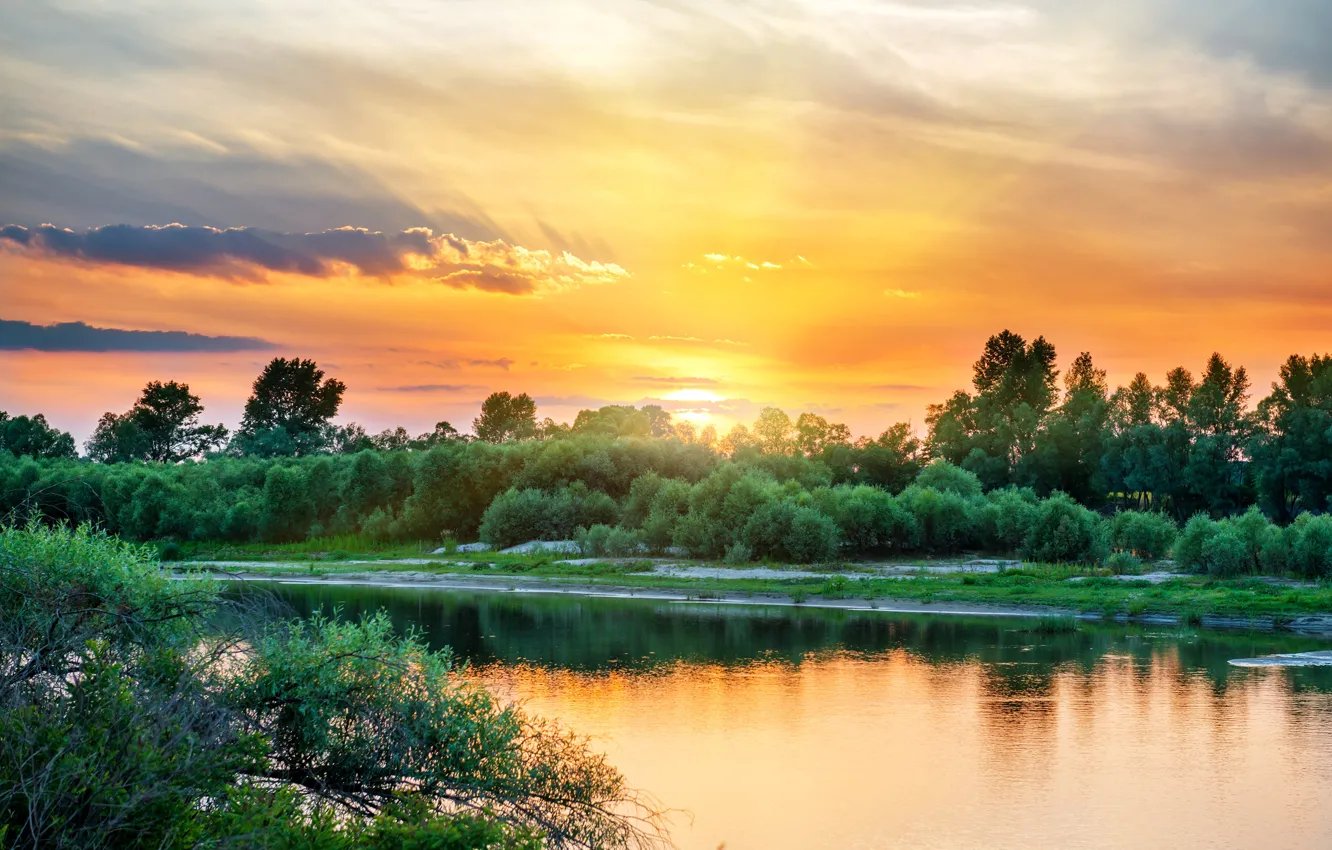Photo wallpaper greens, the sky, the sun, clouds, trees, river, dawn, shore