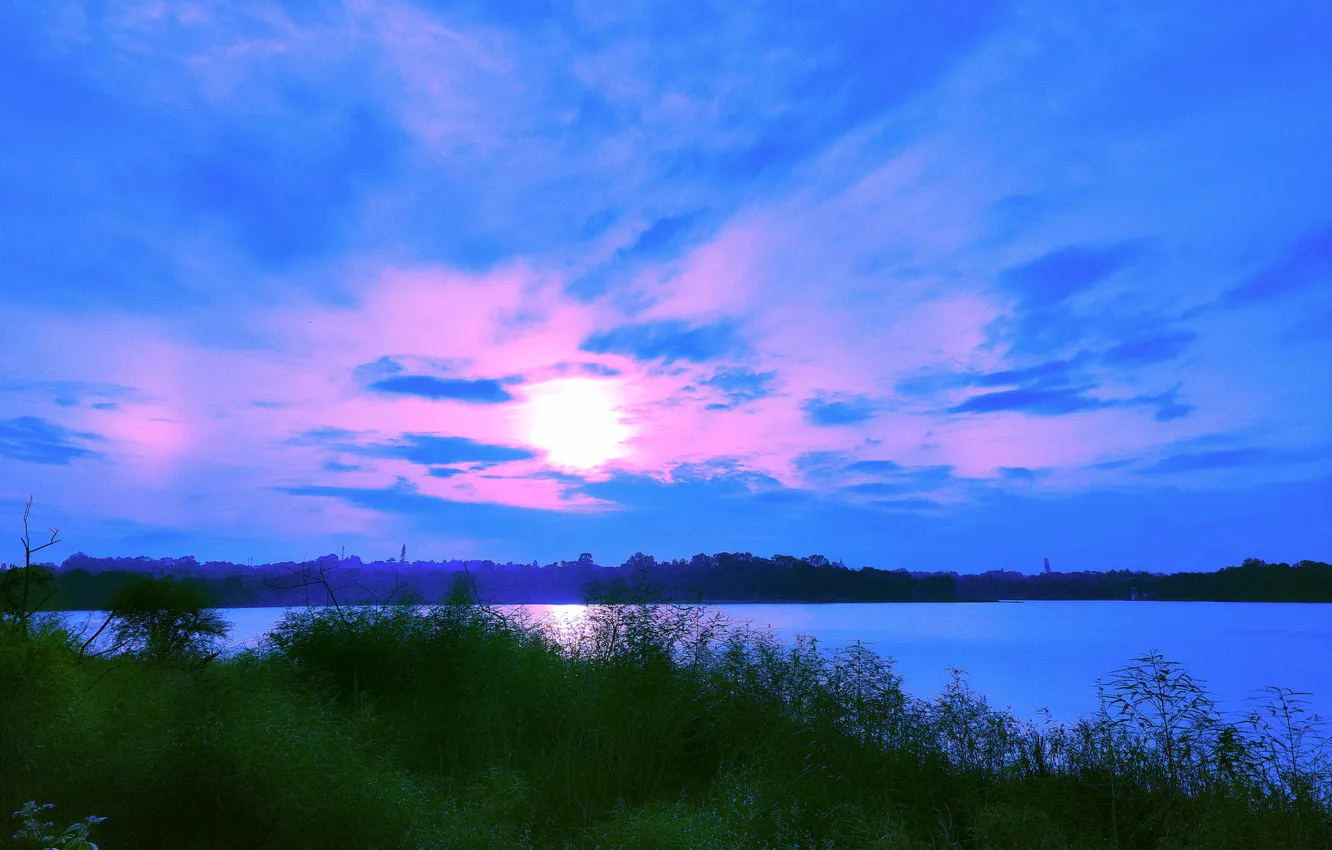 Photo wallpaper sky, trees, water, clouds, lake, morning, sun, bushes