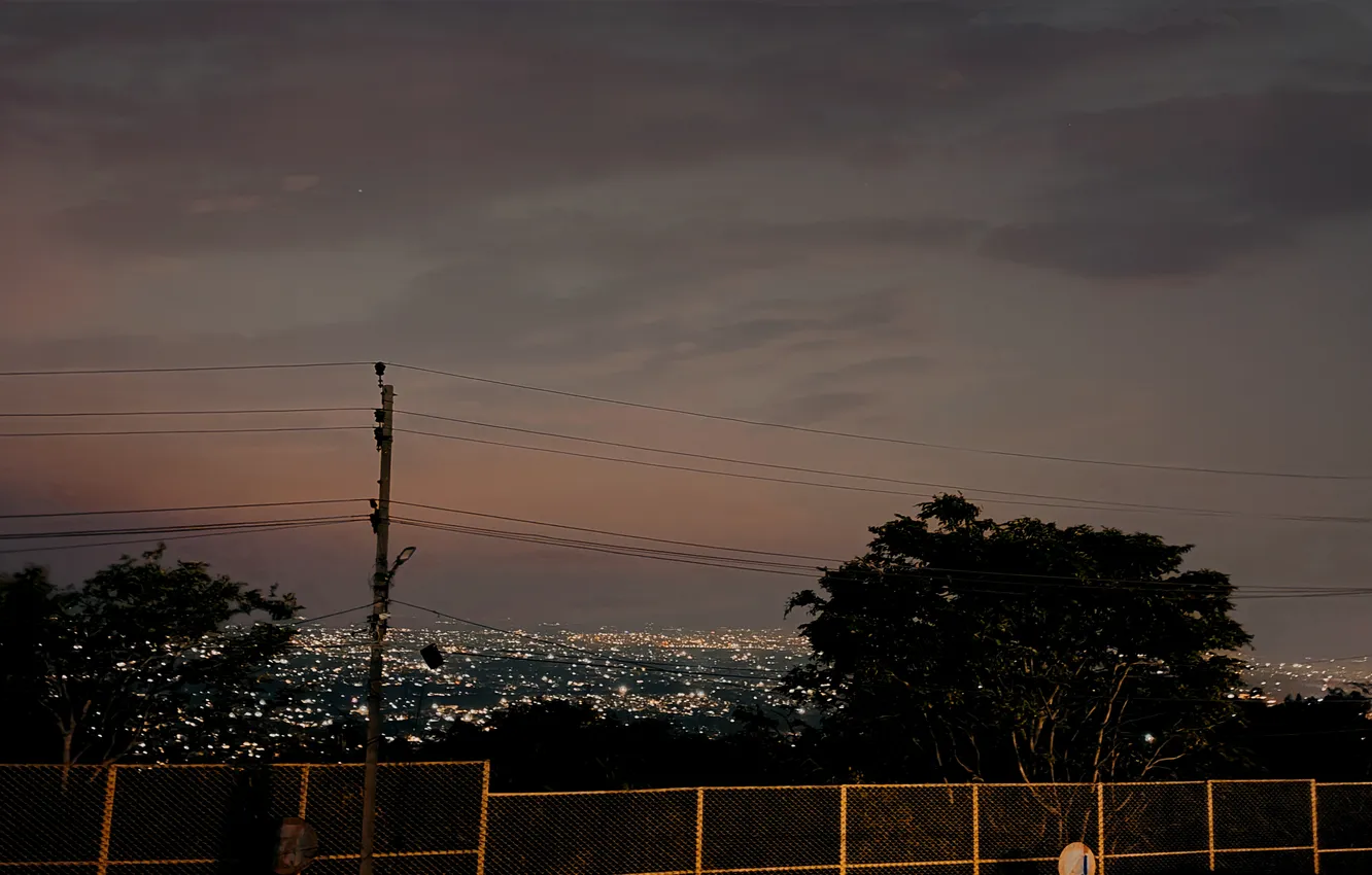 Photo wallpaper lights, trees, night, evening, sundown, hill, dusk, woods