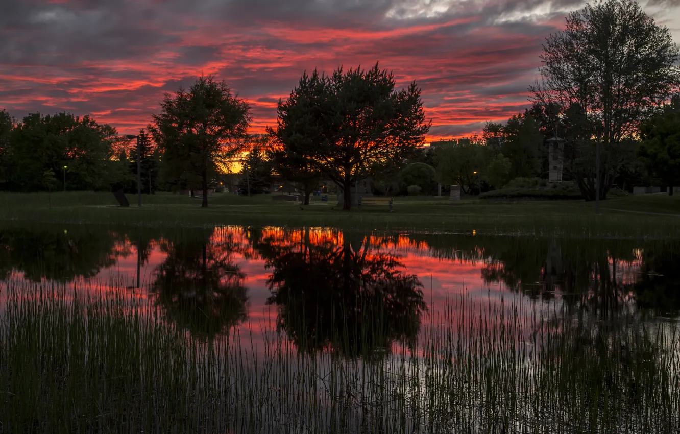 Photo wallpaper dawn, Trees, reflection lake