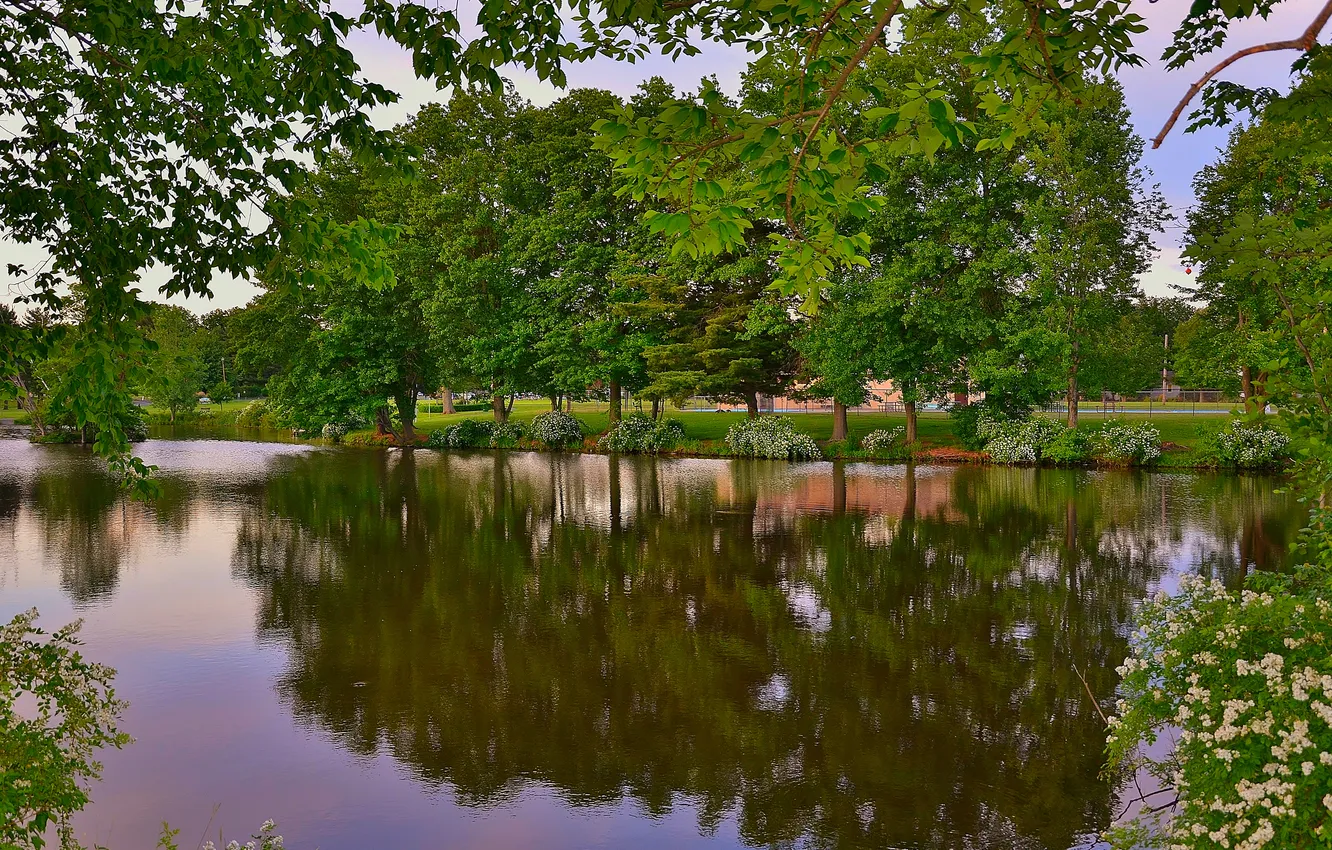 Photo wallpaper summer, the sky, trees, flowers, reflection, river