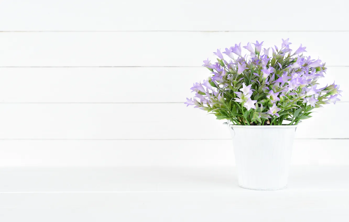 Photo wallpaper white, flowers, background, bouquet, purple, bucket