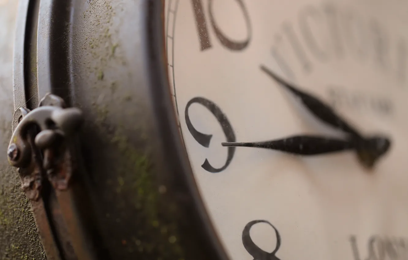 Photo wallpaper macro, time, watch