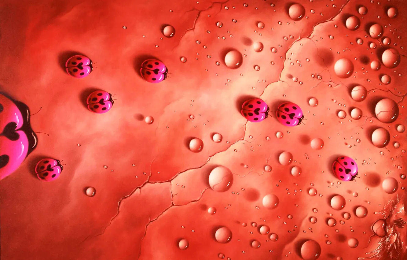 Photo wallpaper water, drops, cracked, pink, ladybugs, Christopher Privilege