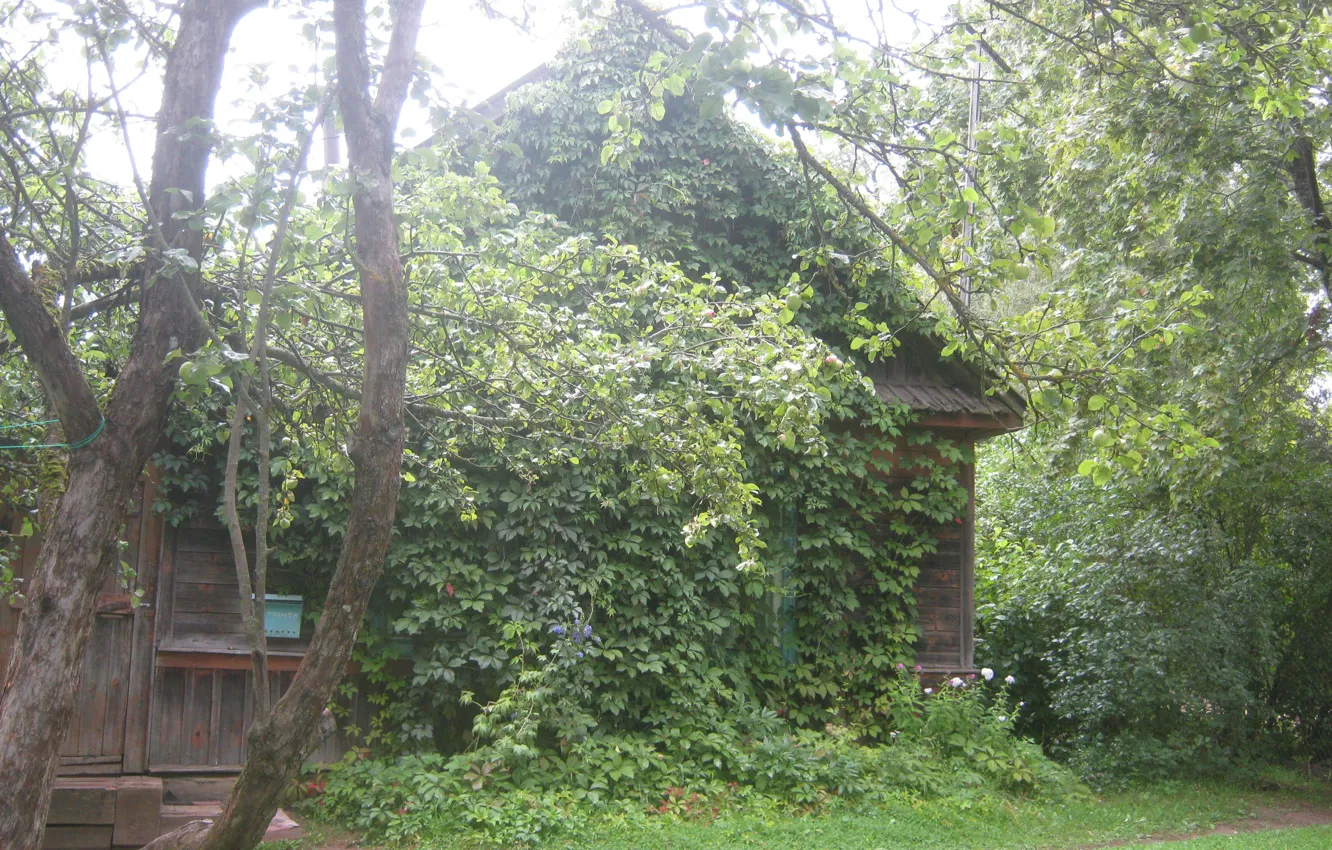 Photo wallpaper after the rain, old house, trees, village, summer, haven't burnt a house in Khaskovo..., thickets, …